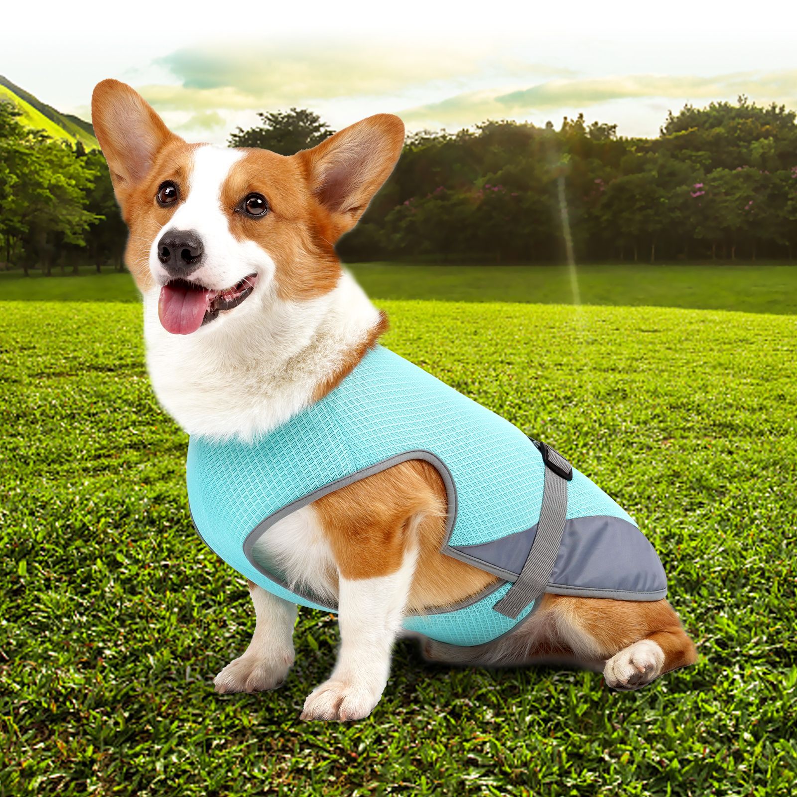 Ropa de Enfriamiento para Mascotas Vestido de Enfriamiento para Perros Ropa de Suministros para Mascotas — imagen 2