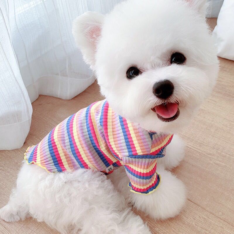 Rainbow Undercoat Dog Clothes Pet Clothes Cat Bears VIP Pomeranian Schnauzer Small Dog Clothes — image 4