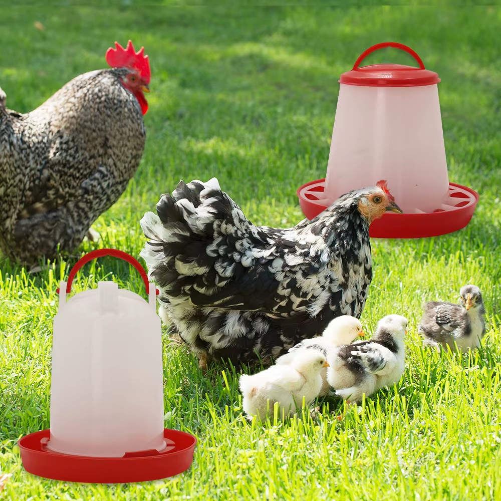 Alimentador y Bebedero de Pollo +3L Dispensador Automático de Agua y Alimento, Cubeta de Alimento y Agua para Pollos — imagen 2