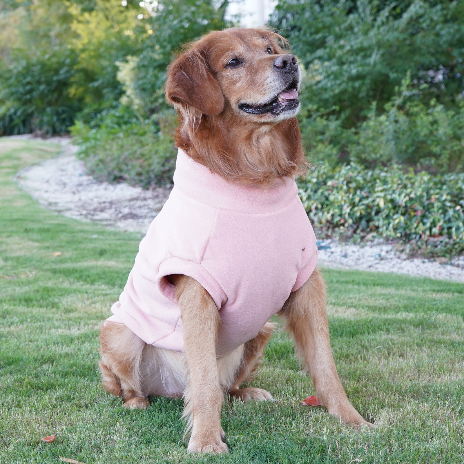 Ropa de Perro Labrador y Golden Retriever para Gran Raza, Vestimenta Caliente para Invierno — imagen 2