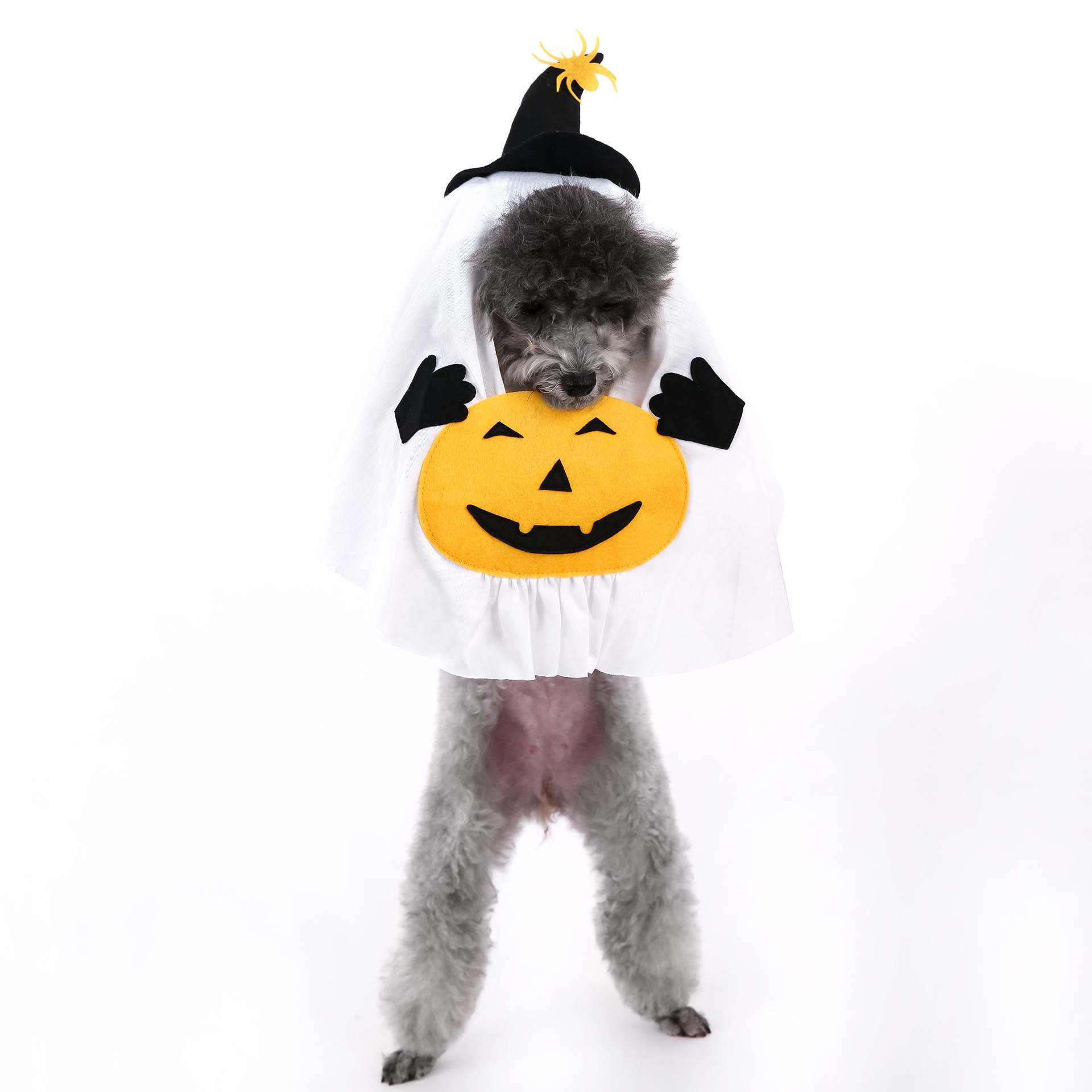 Cute Halloween Pumpkin Wizard Print Pet Costume for Small and Medium Dogs and Cats — image 2
