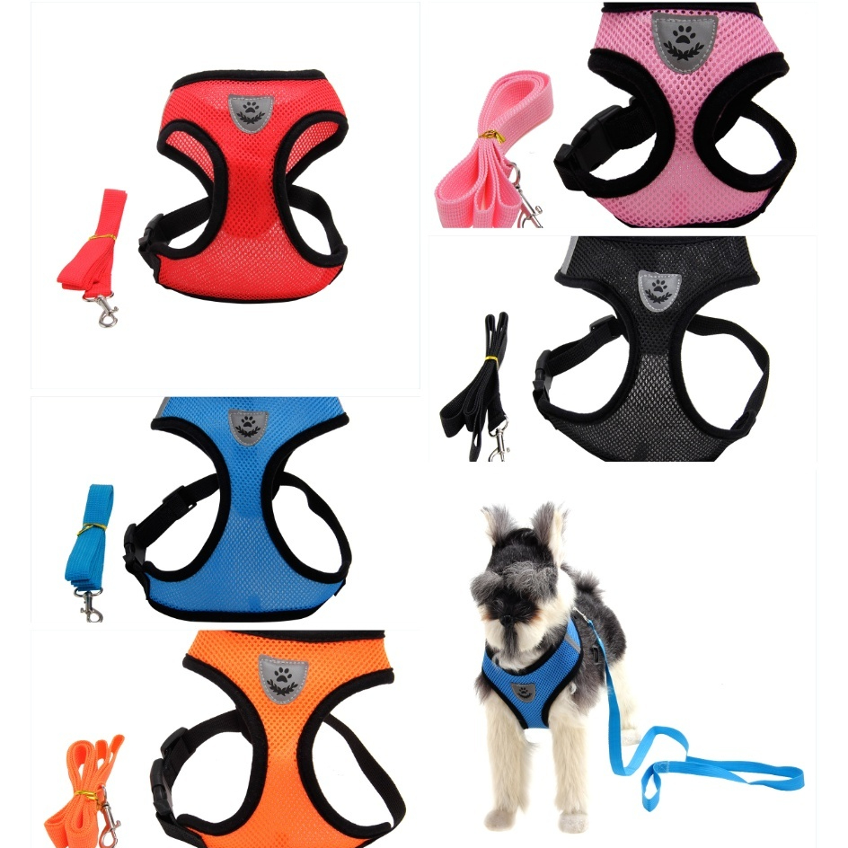 Diseno Elegante y de Alta Calidad Correa para Perros Multicolor — imagen 1