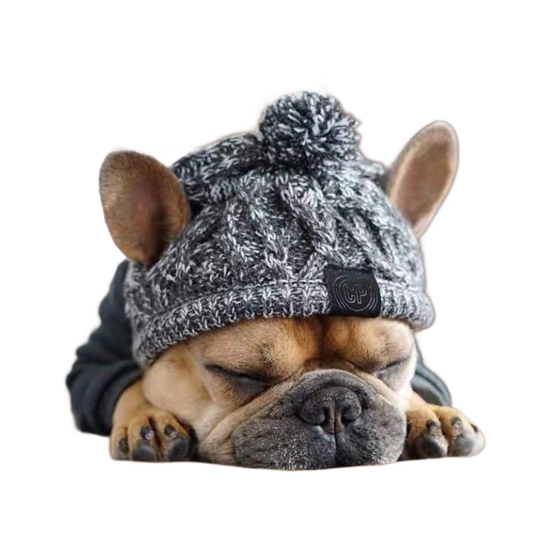 Pet Cat Hat Fighting Bago Big Dog Cat Dog — image 1