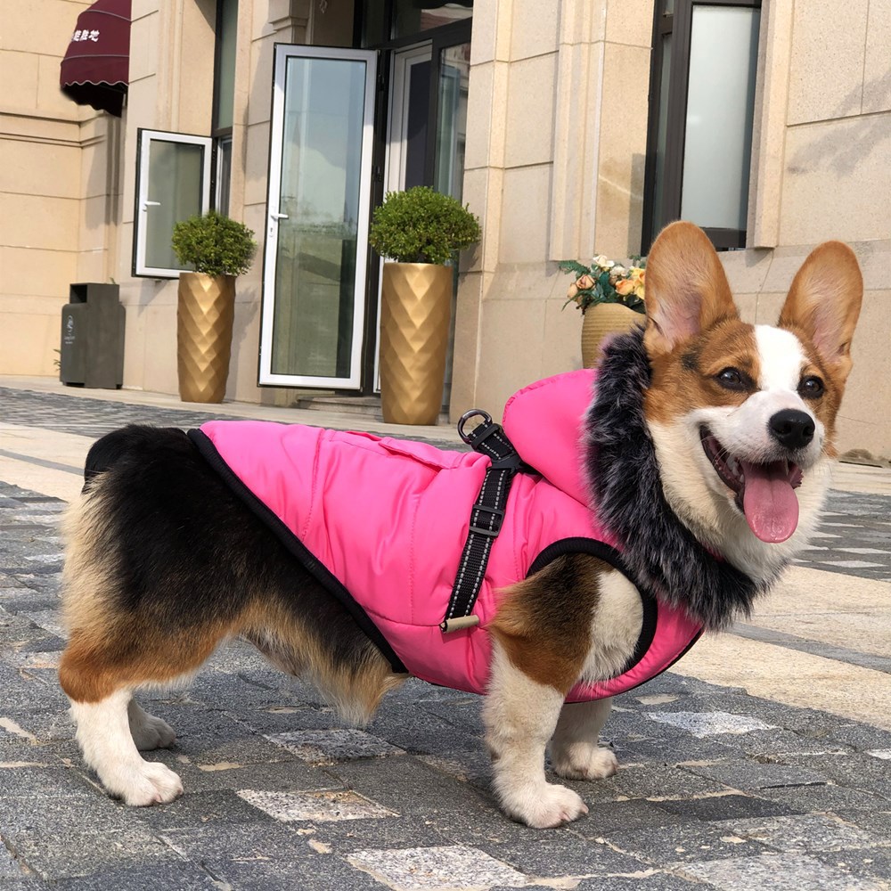 New Pet Cotton Clothes Reflective Warmth Dog Clothes Winter Wool Collar Plus Cotton Pet Clothing Cotton Vest Coat — image 1
