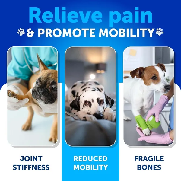 Suplemento para Articulaciones y Caderas de Perros con CBD - Glucosamina para Perros — imagen 4