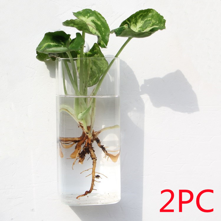 Vaso de Vidrio para Terrario Decorativo en Línea - Jardín Acuático para Hogar — imagen 30