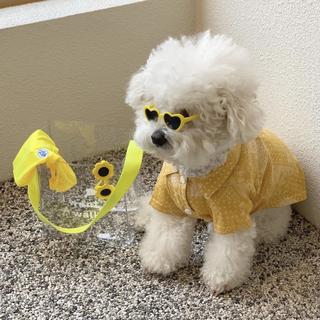 Creative Love Pet Dog Cat Creative Sunglasses Sun Glasses with Accessories Photo — image 2
