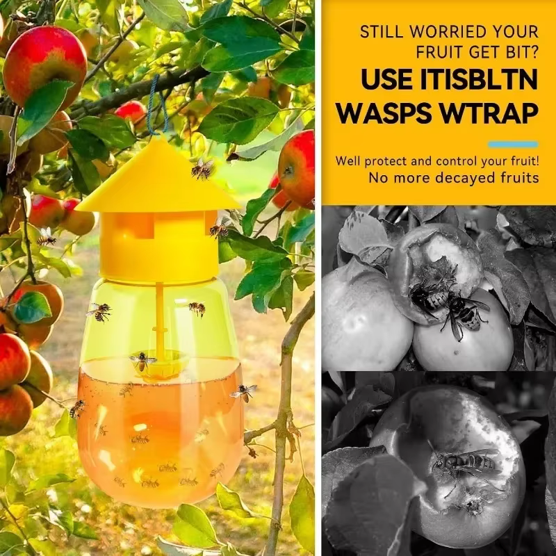 Trampa Para Moscas de la Fruta Reutilizable, 1-5x, Atrapainsectos de Plástico Transparente y Ecológico, Herramienta de Control de Plagas Para Hogar, Jardín y Huerto — imagen 4