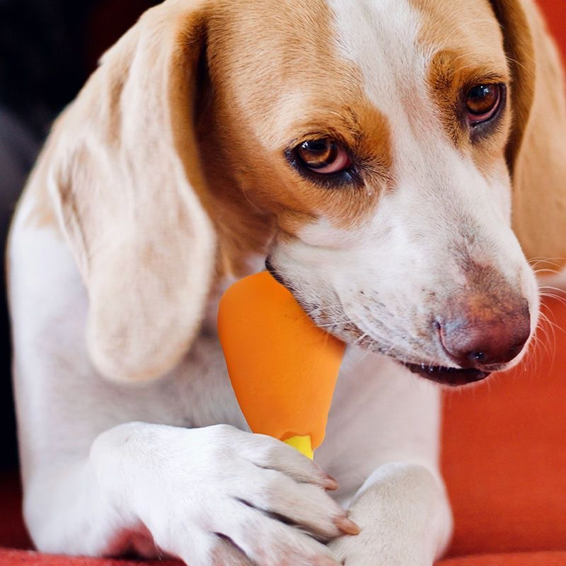 Nuevo juguete de sonido de látex para perros pequeños, masticar y triturar dientes, limpiar dientes, juguete interactivo de rompecabezas para perros — imagen 2