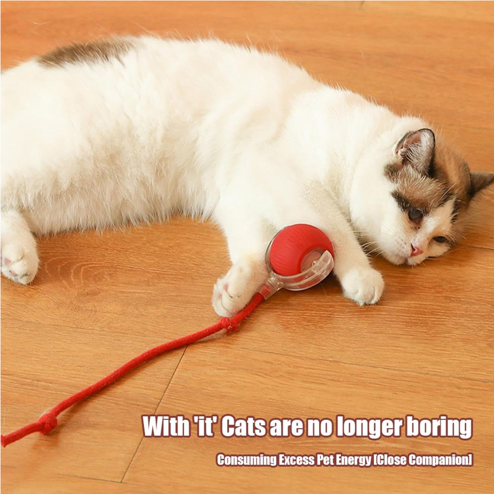 Pelota Interactiva Eléctrica para Perros y Gatos, Juego Inteligente para Interior — imagen 7