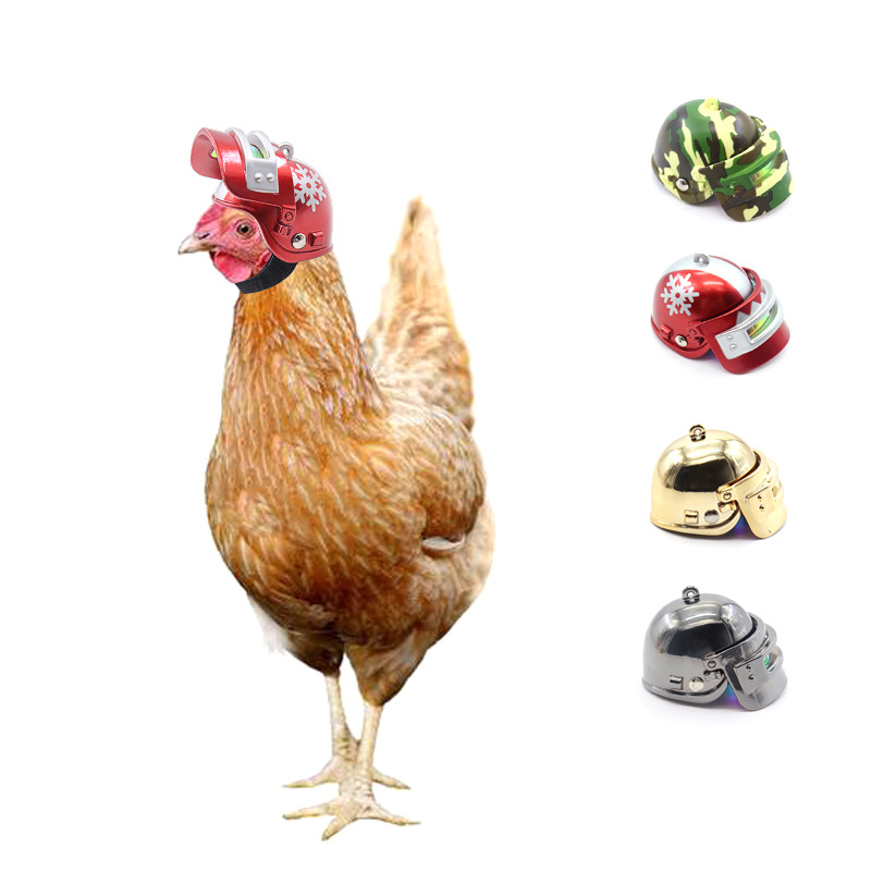 Protección para Pollos y Aves - Casco de Seguridad para Gallinas y Pájaros — imagen 1