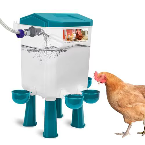 Chicken Feeder & Waterer Set Poultry Feeder & Waterer Set — image 6