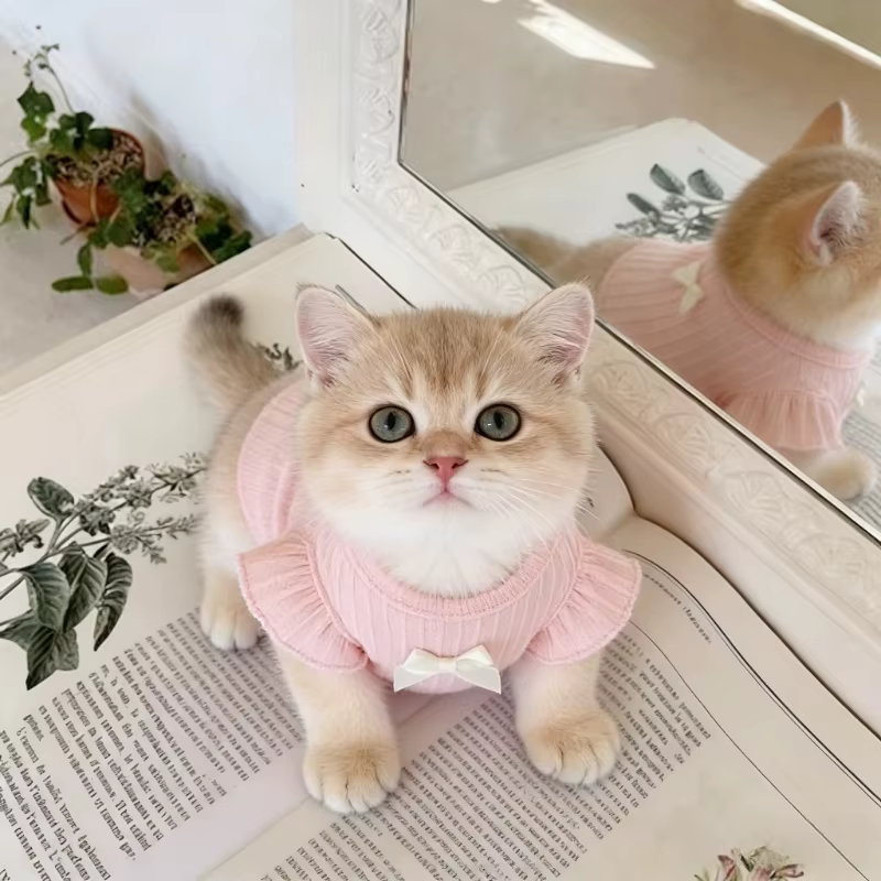 Chaleco Adorable para Perro con Nudo de Lazo, Verano, Transpirable, 2 Piernas, Ropa para Mascotas, Ropa de Osito de Peluche, Camiseta de Pecho Ligera, Ropa para Cachorros — imagen 1