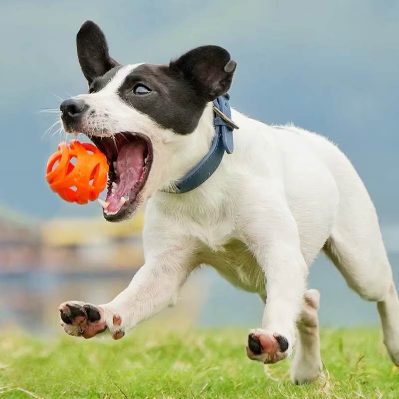 Durable Hollow Elastic Dog Chew Ball, Teeth Cleaning Molar Toy, Interactive Fetch Ball for Small Medium Dogs — image 4