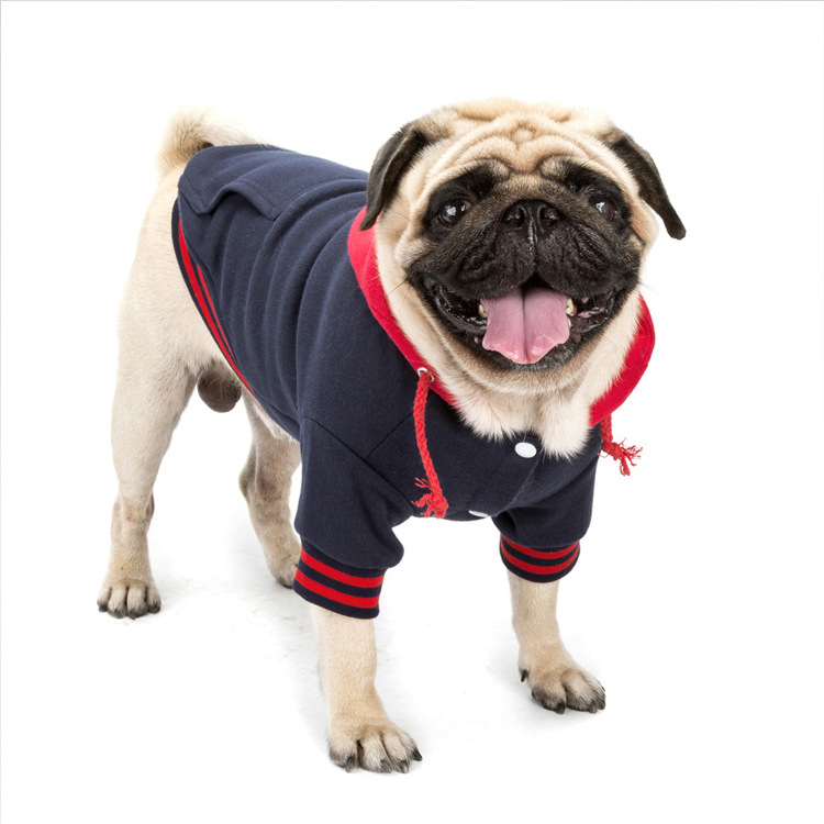 Nueva Ropa de Mascota: Suéter a Juego de Colores para Perros - Accesorios Pet — imagen 1