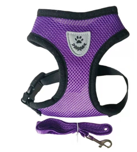 Diseno Elegante y de Alta Calidad Correa para Perros Multicolor — imagen 8