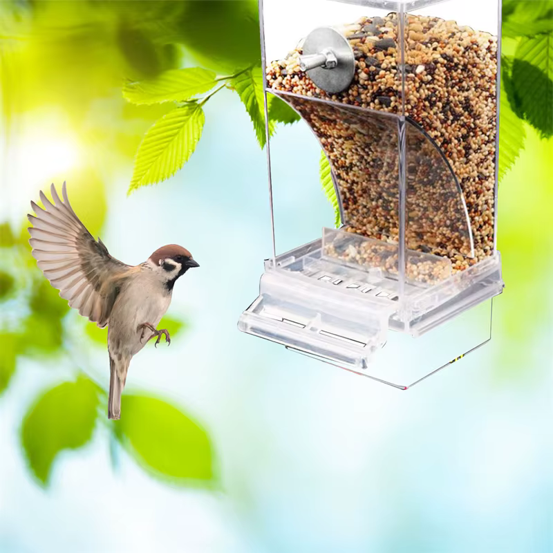 Acrylic No Mess Bird Feeders Automatic Parrot Feeder Drinker Food Container For Perch Budgerigar Parakeets Bird Cage Accessories — image 4
