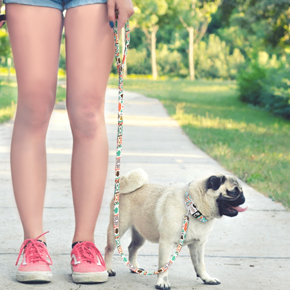 Thick Dog Leash Nylon Rope Printed Dog Cat Leash Pet Leashes Rope Puppy Leads for Outdoor Walking Training Pet Supplies — image 6