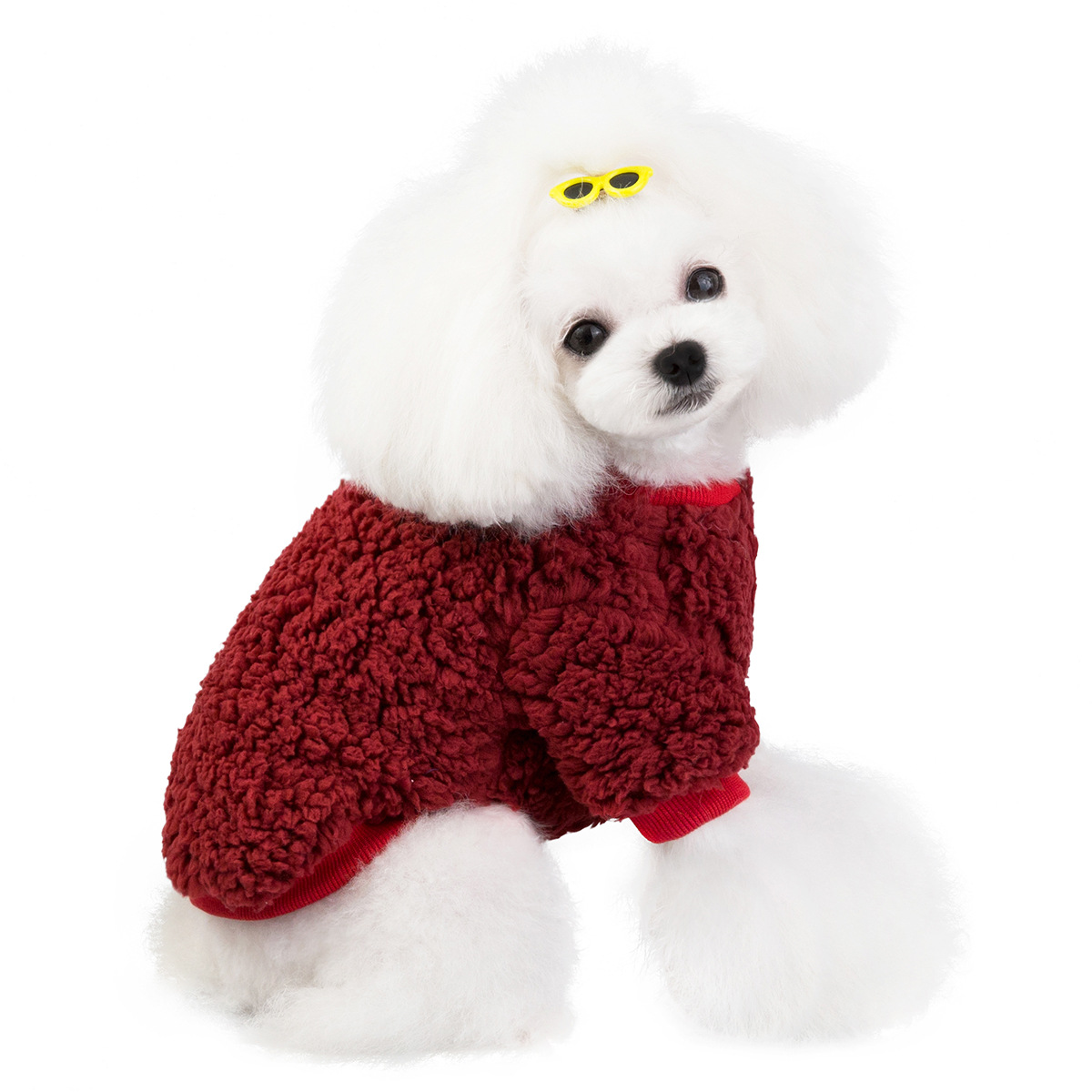 Ropa para mascotas: ropa de gatos y perros — imagen 6