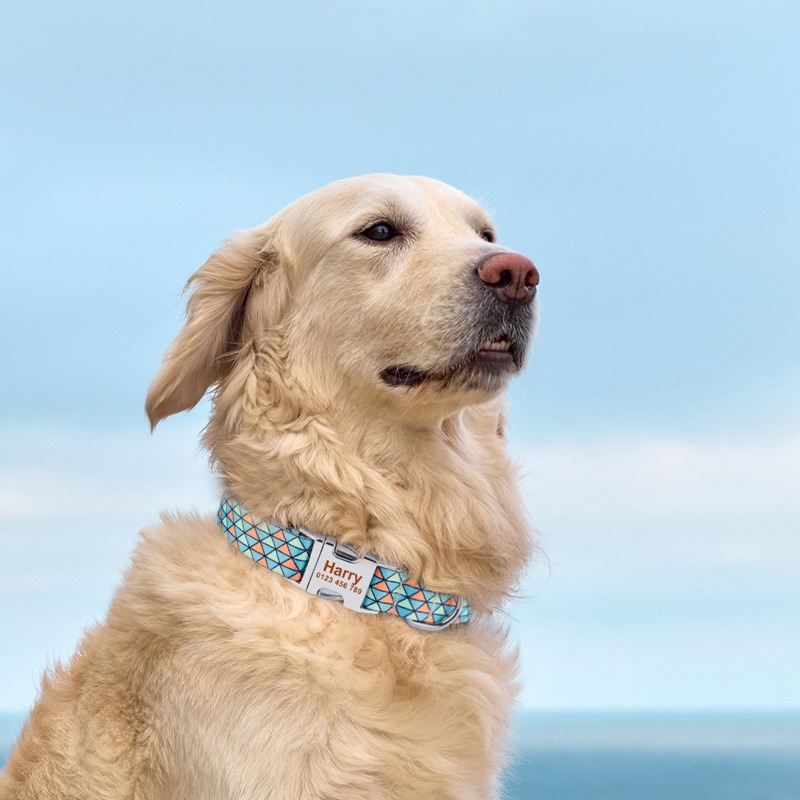 New Printed Pet Collar DIY Engraved Printed Polyester Dog Collar Traction Rope Leash — image 6