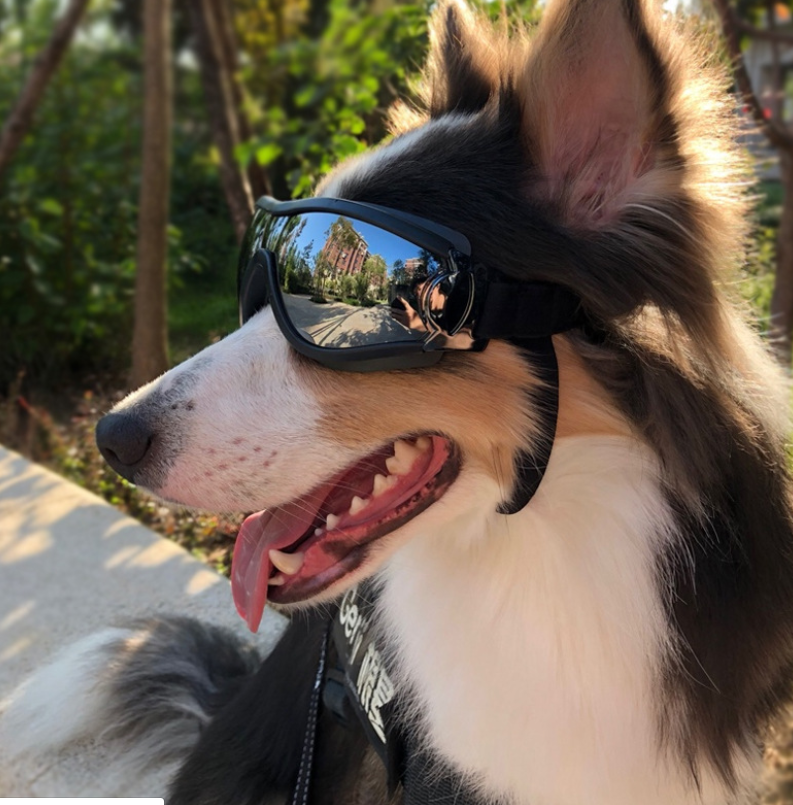 Pet glasses dog supplies goggles waterproof windproof sunscreen UV dog glasses — image 4