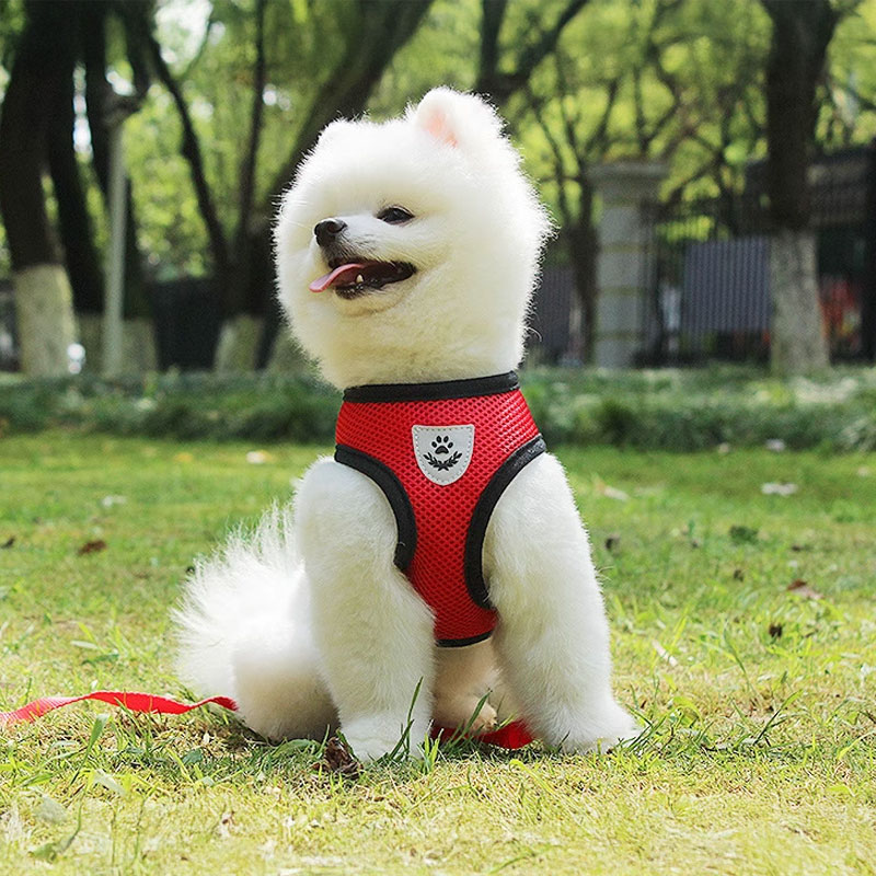 Adjustable pet harness set (small dogs/cats): vest, collar, leash. Fits French Bulldogs, Chihuahuas, etc — image 11