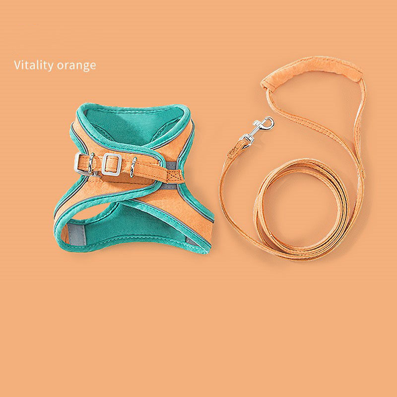 Faja de correa estilo chal universal para gato y cadena para perro — imagen 4