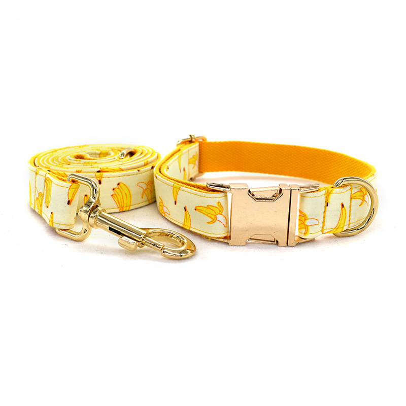 Collar de Trazo Amarillo para Perros con Cuerda de 1.5m y Broche de Oro Personalizable — imagen 11
