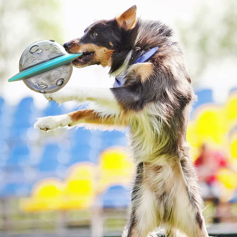 Dog Flying Saucer Toys Chew Leaking Slow Food Feeder — image 5