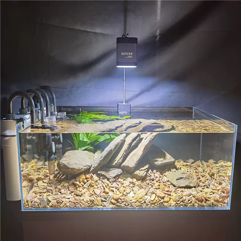 Nueva lámpara LED para acuario con césped de agua RGBW espectro completo explosión algas bajos en profundidad para peces nativos tanque 8500K 25/35/65W — imagen 5