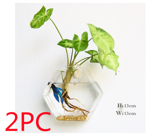 Vaso de Vidrio para Terrario Decorativo en Línea - Jardín Acuático para Hogar — imagen 6