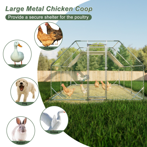Gallinero Grande de Metal Galvanizado de 10 x 20 Pies, Jaula Transitable, Corral para Aves de Corral, Conejera, Casa para Gallinas — imagen 4