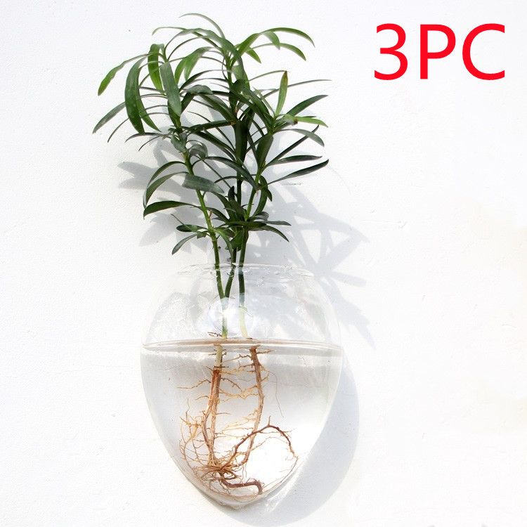 Vaso de Vidrio para Terrario Decorativo en Línea - Jardín Acuático para Hogar — imagen 54