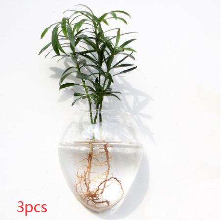 Vaso de Vidrio para Terrario Decorativo en Línea - Jardín Acuático para Hogar — imagen 56