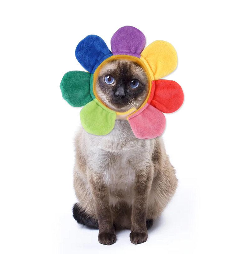 Sunflower Flower Pattern Pet Hat Headpiece for Dogs and Cats — image 1