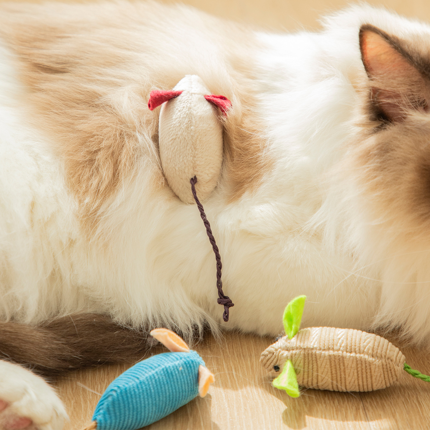 Raton de Juguetes para Gatos Simulación Música Creativa Autoeducativa Protección Ambiental Pequeño Juguete — imagen 3