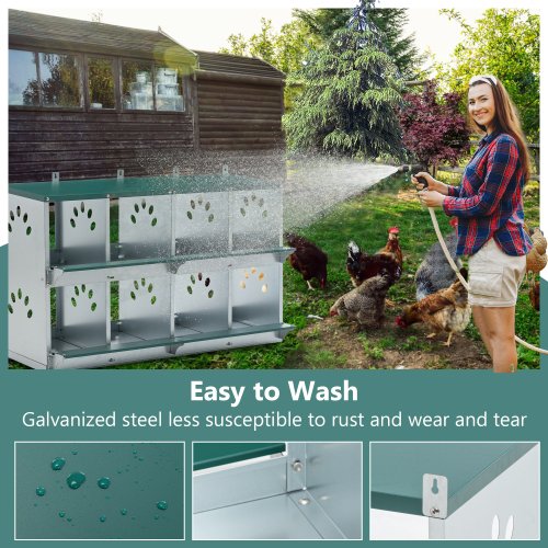 8 Cajas de Puesta para Pollos con 8 Compartimentos, para Depositar Huevos, Caja de Puesto Metálica para Pollos y Gallinas, Sujeta a Pared con Grandes Agujeros Ventilados — imagen 6