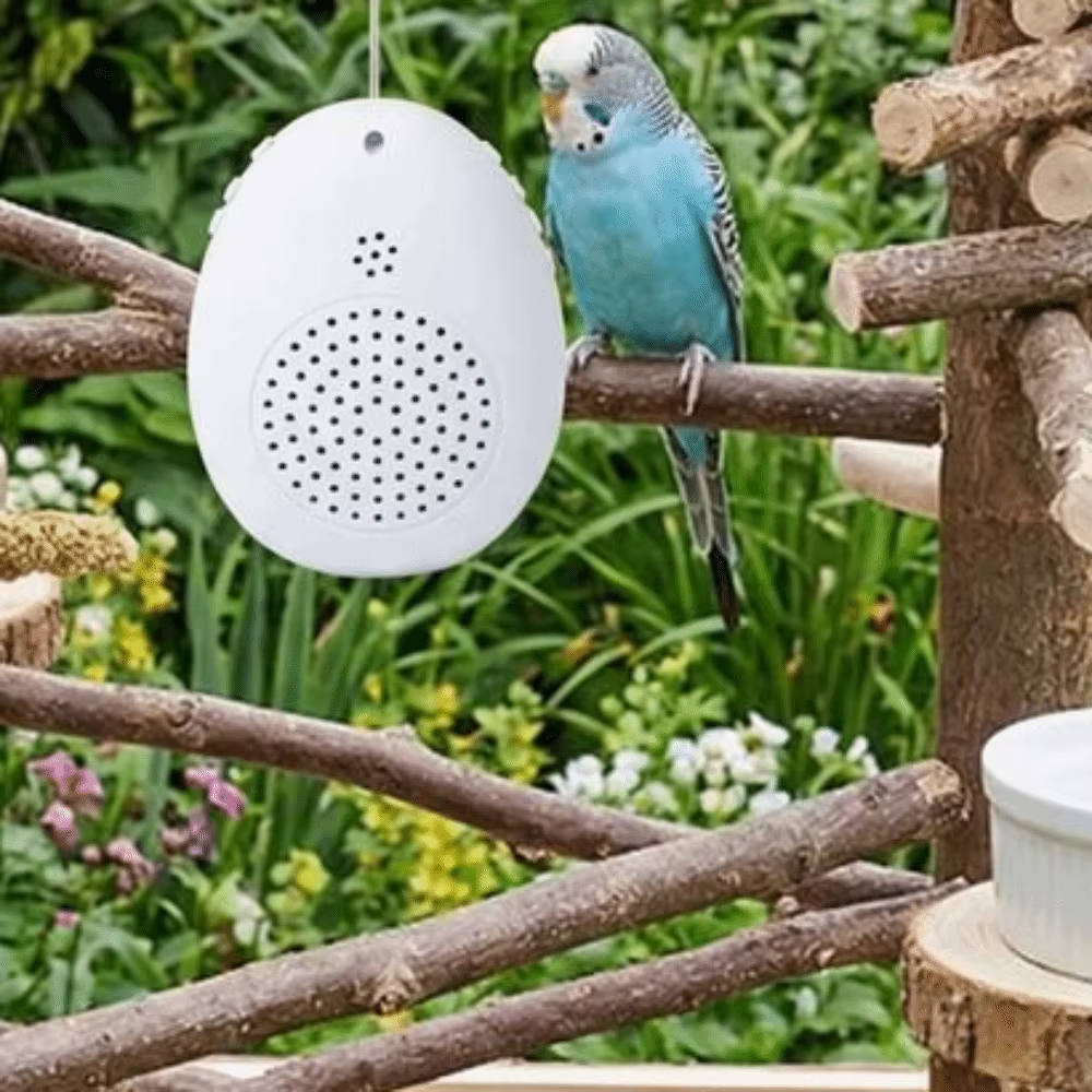 Máquina de Aprendizaje para Pájaros con Reproducción de Sonidos Interactivo — imagen 4