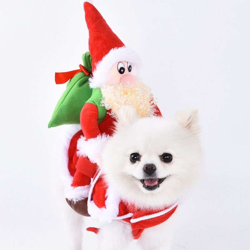 Pet clothes are funny take a knife transform into a pet dog Halloween pet — image 21