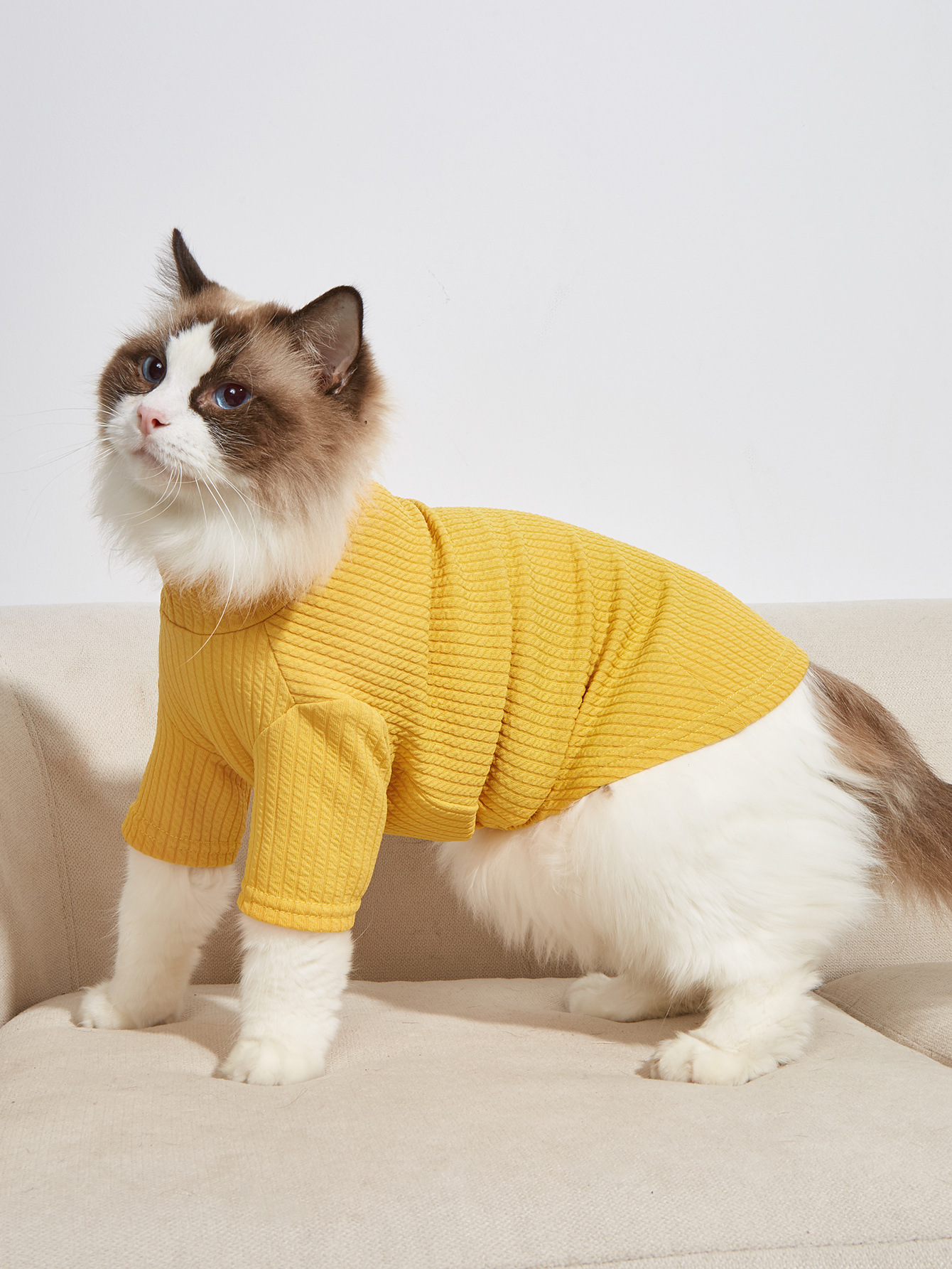 Camiseta de Verano para Mascotas Color Solido, Vestido para Perros y Cachorros — imagen 2