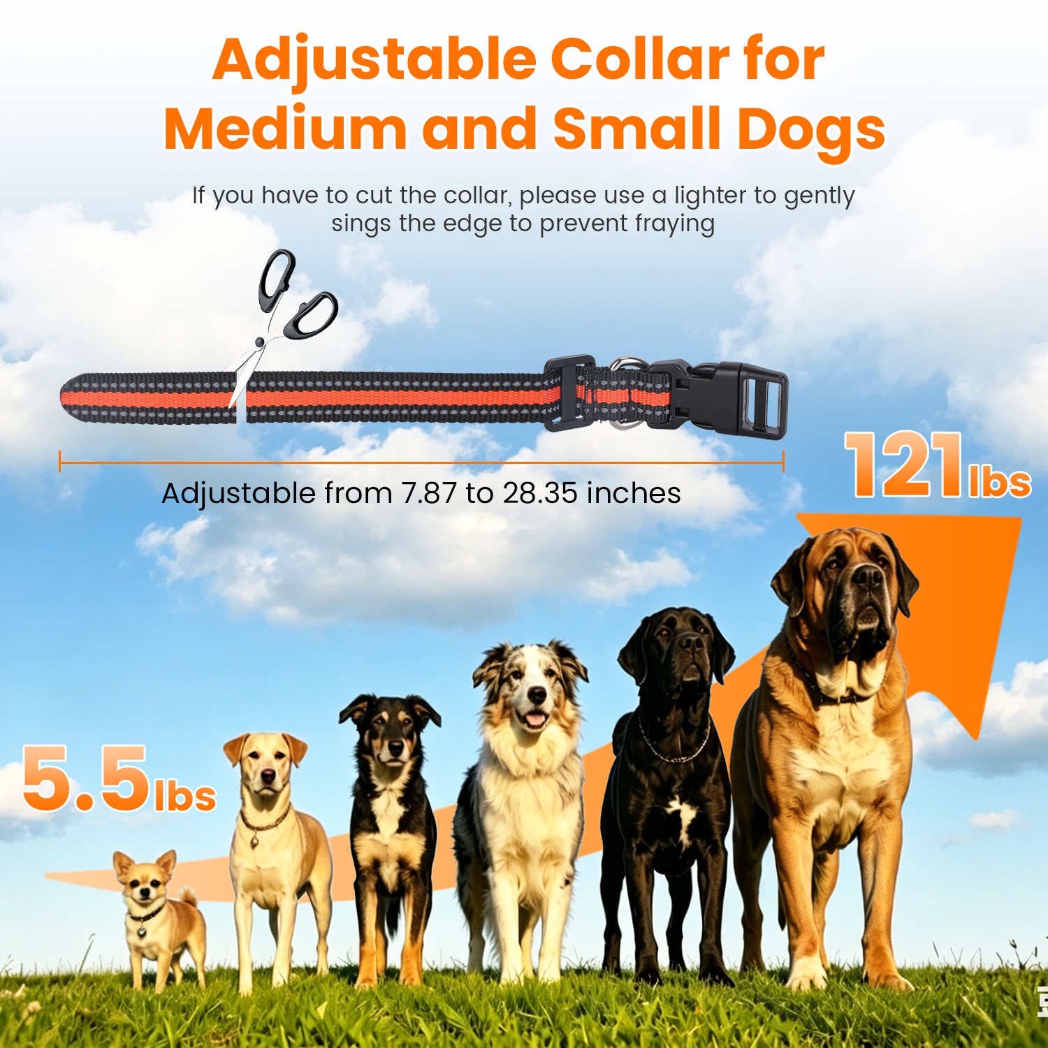 Collar de Adiestramiento para Perros con Control Remoto — imagen 8