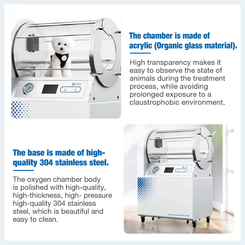 Cámara de Oxígeno Hiperbárico Veterinaria OXYAIR Vet Hard Lying 2.0 ATA para Uso Humano — imagen 4