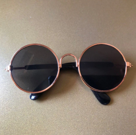 Gafas de Sol para Mascotas de Gato — imagen 7