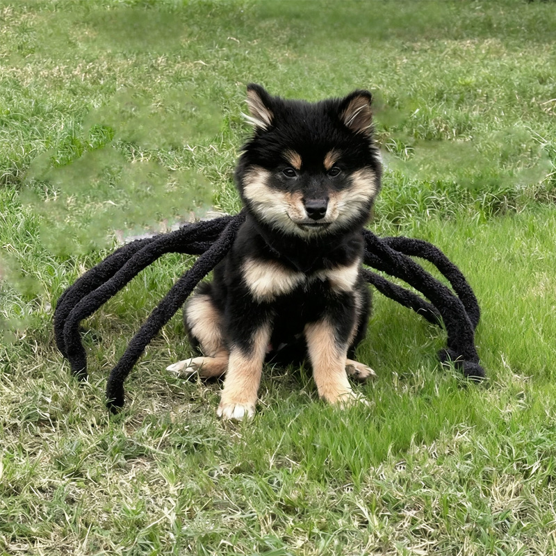 Spider Back Design Pet Halloween Costume – Fits Cats, Small/Medium Dogs & Puppies — image 3