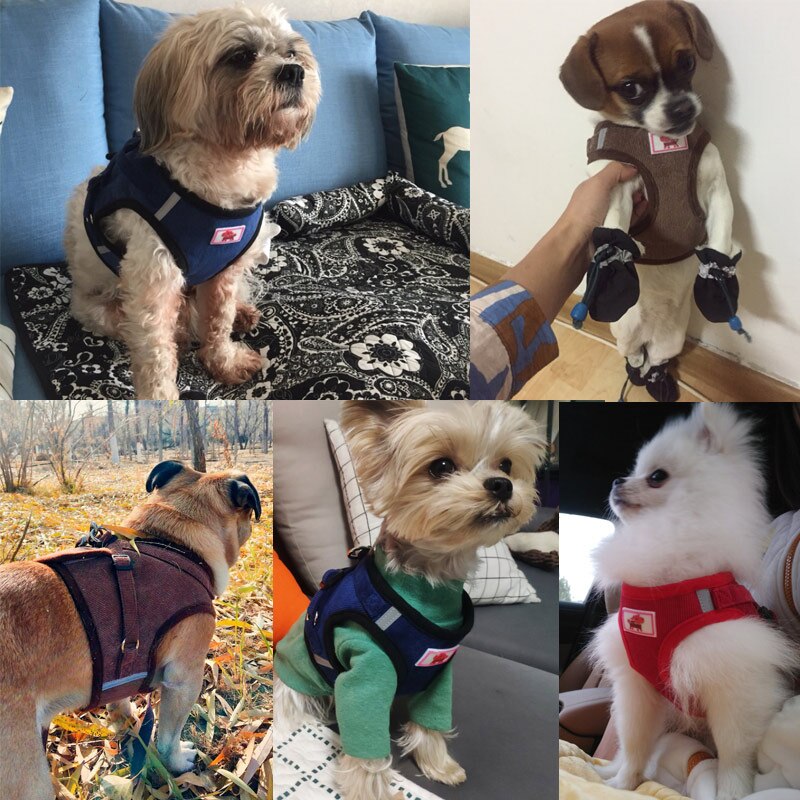 Dog Cat Reflective Harness Leash sets Adjustable Vest Walking Supplies Breathable Pet Collar — image 3