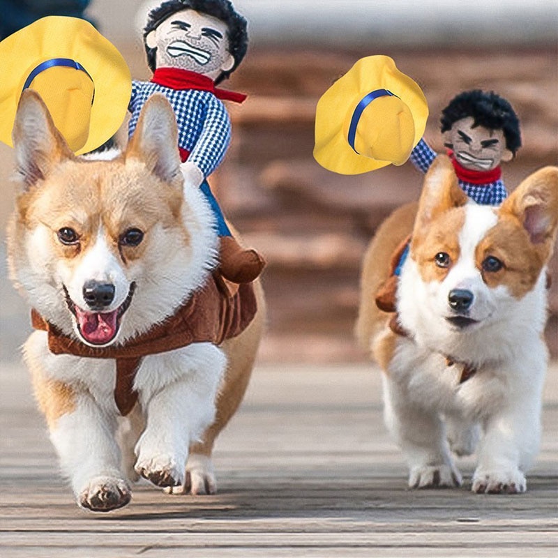 Disfraz de cowboy para perros divertido, atuendo de caballo ridículo para mascotas — imagen 2