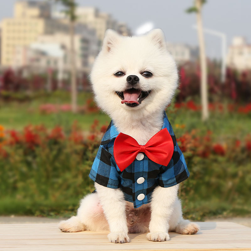 Spring Summer Autumn Dog Shirts Suits Wedding Dresses Teddy Bears Pets Cats Clothes Supplies — image 4