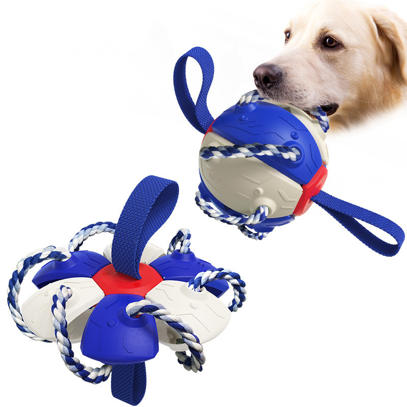 Pet Supplies Throwing Frisbee Outdoor Training Interactive Frisbee Football Dog Toy — image 2