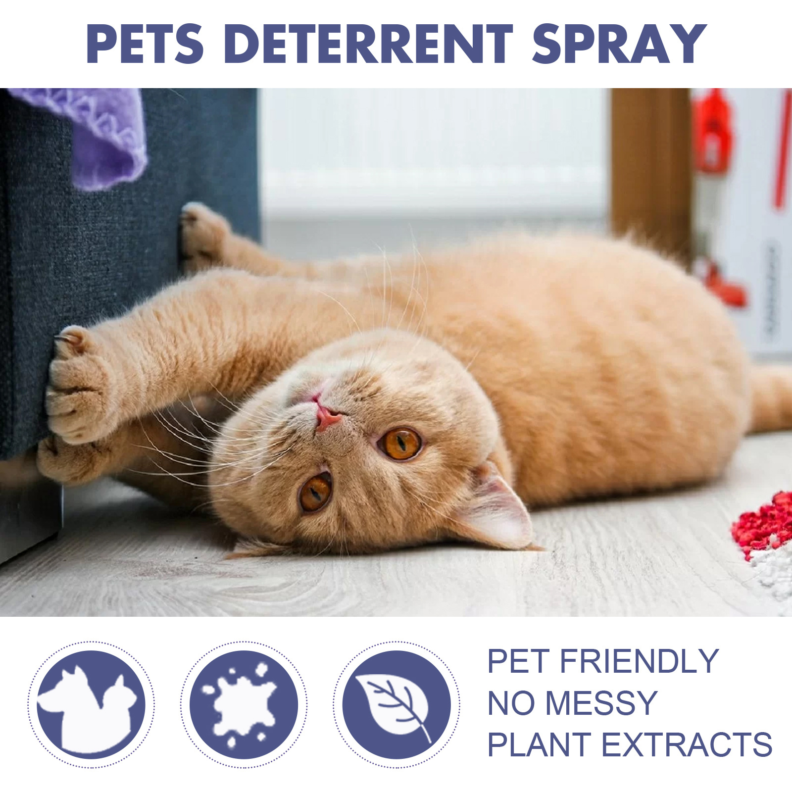 Pet Anti-Scratch Spray Exclusion Zone Set Up Spray Cat And Dog Scratching Door Sofa Anti-Scratch Solution — image 5