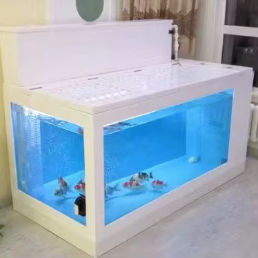 Tanque Grande para Cría de Peces Koi en Interior con Ventana de Vidrio Accesorios de Plástico Fibra de Vidrio (FRP) para Venta de Acuario — imagen 5